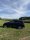 Mercedes ML 350 Bluetec 4MATIC